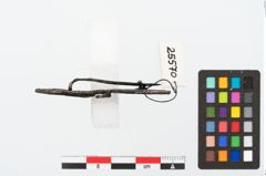 Foto von Bronzebrillenfibel (NHMW-PRAE-025570)